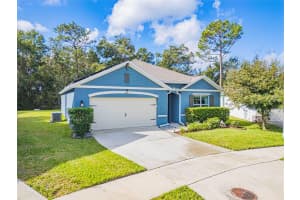 249 MEGHAN CIRCLE, DELAND, FL 32724 Sold 04/03/25