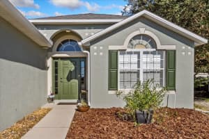 3431 WILD OCELOT COURT, DELAND, FL 32724 Sold 01/17/25