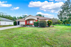 6008 103RD LOOP, OCALA, FL 34476 - MLS#MFRV4939232