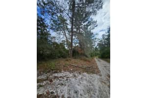 MLS# MFRV4939261, Deltona, Florida 32738