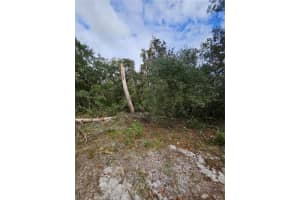 MLS# MFRV4939261, Deltona, Florida 32738