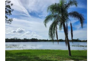 765 WILDMERE AVENUE, LONGWOOD, FL 32750 Sold 12/10/24