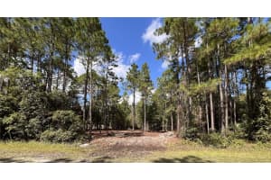 4192 OLEANDER AVENUE, BUNNELL, FL 32110 Sold 06/10/25