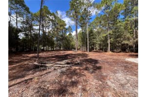 4192 OLEANDER AVENUE, BUNNELL, FL 32110 Sold 06/10/25