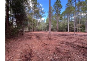 4192 OLEANDER AVENUE, BUNNELL, FL 32110 Sold 06/10/25