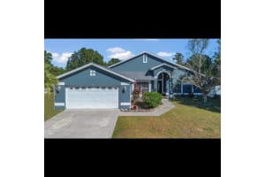 3113 BIRDS REST PLACE, KISSIMMEE, FL 34743 Sold 03/07/25