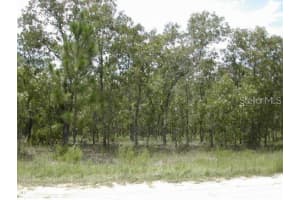 0 125 COURT ROAD, OCALA, FL 34481 Sold 01/31/25