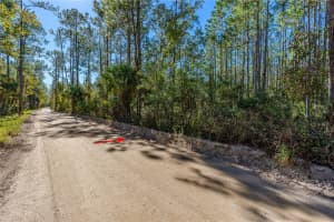 S SAMSULA DR, NEW SMYRNA BEACH, FL 32168 Sold 12/26/24