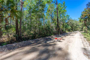 S SAMSULA DR, NEW SMYRNA BEACH, FL 32168 Sold 12/26/24