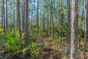 S SAMSULA DR, NEW SMYRNA BEACH, FL 32168 Sold 12/26/24