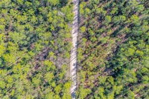 S SAMSULA RD, NEW SMYRNA BEACH, FL 32168 Sold 03/19/25