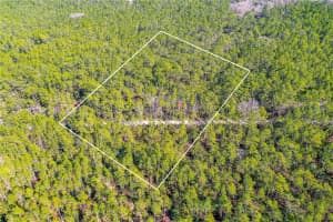 S SAMSULA RD, NEW SMYRNA BEACH, FL 32168 Sold 03/19/25
