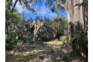 748 RIDGEWOOD AVENUE, DELAND, FL 32720 Sold 09/04/25