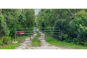 4130 SWAMP DEER ROAD, NEW SMYRNA BEACH, FL 32168 Sold 02/21/25