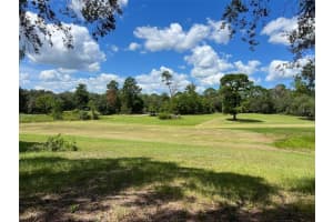 32212 AUTUMN MIST ROAD, EUSTIS, FL 32736 - MLS#MFRV4940728