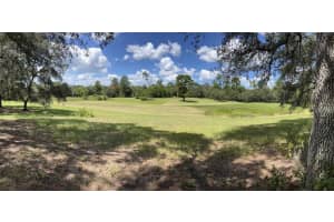 32212 AUTUMN MIST ROAD, EUSTIS, FL 32736 - MLS#MFRV4940728
