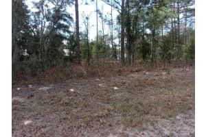 SW 18TH PLACE, OCALA, FL 34481 - MLS#MFRV4940874