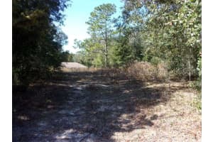 SW 140TH AVENUE, OCALA, FL 34481 - MLS#MFRV4940877