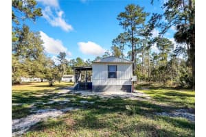 55006 5TH STREET, ASTOR, FL 32102 - MLS#MFRV4941001