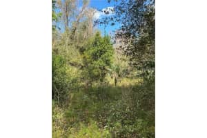 W BERESFORD RD, DELAND, FL 32720 - MLS#MFRV4941057