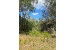 W BERESFORD RD, DELAND, FL 32720 - MLS#MFRV4941057