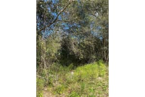 W BERESFORD RD, DELAND, FL 32720 - MLS#MFRV4941057
