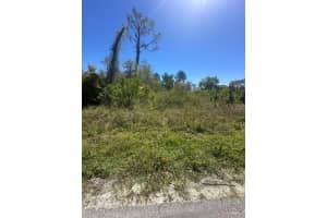 2548 LAKE DRIVE, DELAND, FL 32724 - MLS#MFRV4941337