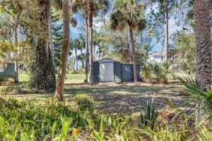 4282 ALICE STREET, EDGEWATER, FL 32141 - MLS#MFRV4941354