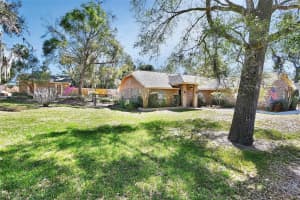 230 WHITE DOVE AVENUE, ORANGE CITY, FL 32763 Sold 06/09/25