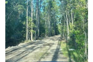 3789 PINE PITCH COURT, ORMOND BEACH, FL 32174 - MLS#MFRV4941407