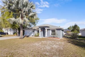 723 PELICAN COURT, KISSIMMEE, FL 34759 - MLS#MFRV4941579