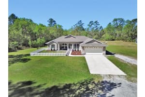 53731 RIVERTRACE ROAD, ASTOR, FL 32102 Sold 05/07/25