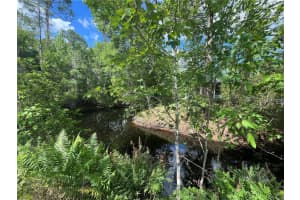 115 COVE ROAD, SATSUMA, FL 32189 Sold 04/23/25