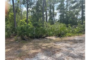 1290 10TH AVENUE, DELAND, FL 32724 Sold 06/06/25