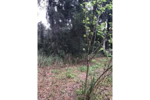 260 MERCERS FERNERY ROAD, DELAND, FL 32720 - MLS#MFRV4942382