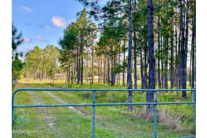 201 WASICK LANE, ORMOND BEACH, FL 32174 - MLS#MFRV4942403