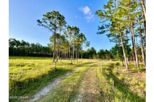 201 WASICK LANE, ORMOND BEACH, FL 32174 - MLS#MFRV4942403
