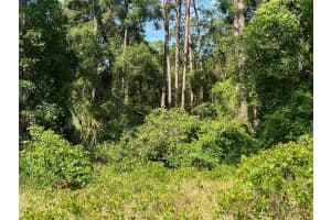 W TAYLOR RD, DELAND, FL 32720 - MLS#MFRV4942432