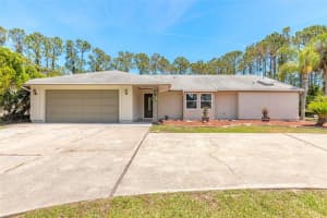 85 Pheasant Dr, PALM COAST
