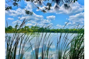 5000 BLOUNTS RIDGE ROAD, MIMS, FL 32754 Sold 09/01/25