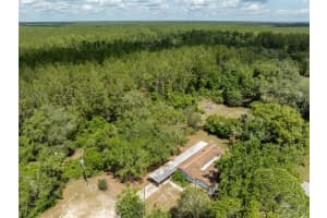 29505 NORTH, PAISLEY, FL 32767 - MLS#MFRV4942685