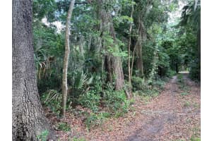 16075 37TH TERRACE, REDDICK, FL 32686 - MLS#MFRV4942731