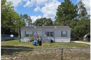 28523 POINSETTIA AVENUE, PAISLEY, FL 32767 - MLS#MFRV4942952