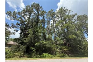 6 ULMACEAL PATH, PALM COAST, FL 32164 Sold 07/07/25