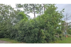 1349 LODGE TERRACE, DELTONA, FL 32738 Sold 08/28/25
