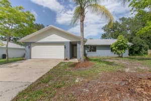 3117 PINE TREE DRIVE, EDGEWATER, FL 32141 Sold 08/18/25