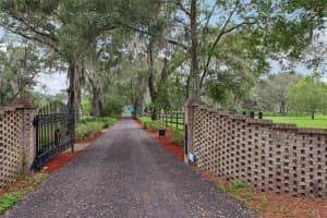1555 MERCERS FERNERY ROAD, DELAND, FL 32720 - MLS#MFRV4943371