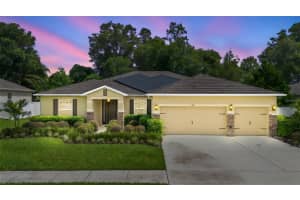 508 MORGAN WOOD DRIVE, DELAND, FL 32724 - MLS#MFRV4943407