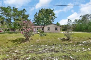 28045 POINSETTIA AVENUE, PAISLEY, FL 32767 - MLS#MFRV4943491