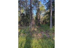 2366 DOGWOOD STREET, BUNNELL, FL 32110 Sold 07/17/25